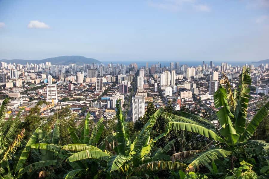 10-hour beach tour Santos: Shared with Tickets & Lunch - Price and Value: What You’re Actually Paying For