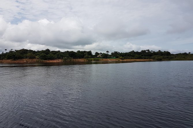 4 Days Amazon Jungle Adventure Tour - Day 1: From Rio Negro crossing to piranha fishing and a nocturnal hunt