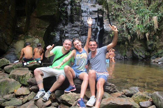 4x4 Jeep Jungle Tour Rio de Janeiro - What the rainforest walk is like, and how to enjoy it
