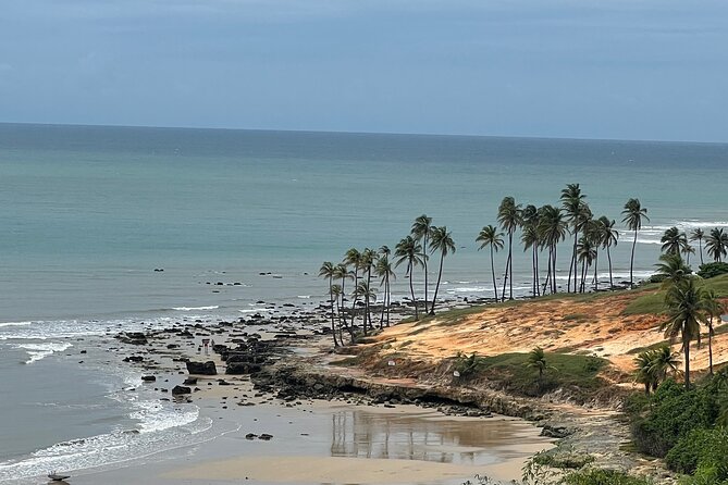 4x4 Private Transfer Service - A Private 4x4 Transfer That Cuts the Stress in Fortaleza
