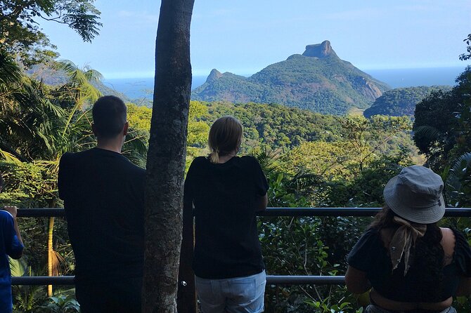 4x4 Tijuca National Park Rio de janeiro - Stop 2, Cascatinha Taunay: Cascade Views and a Natural Lagoon Swim
