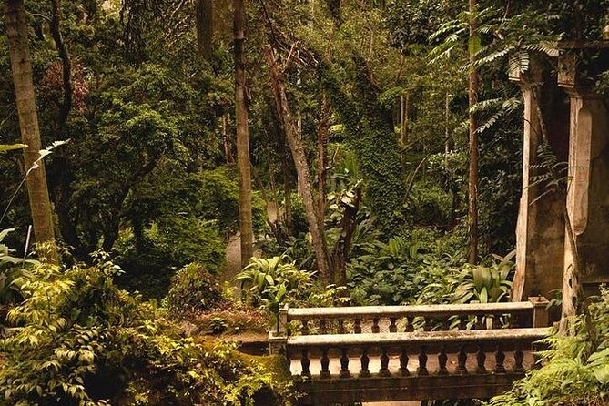 6-Hour Private Guided Tour in Rio de Janeiro - How customization works when you only have 6 hours