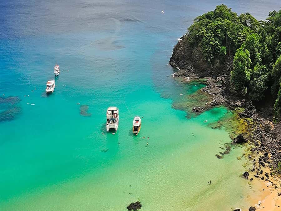 7-Hour Island Adventure: Fernando de Noronha Ilhatour - Price and true cost: $88 is only the start