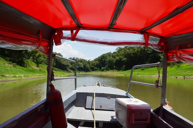 8-Hour Amazonas Jungle Treck & Anavilhanas Archipelago - The Jungle Trek: Learning Plants, Tracking Creatures, Staying Comfortable