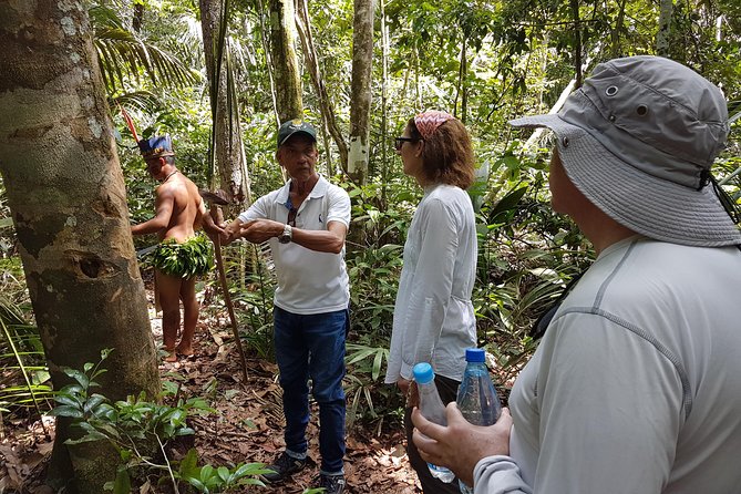8-Hour Amazonas Jungle Treck & Anavilhanas Archipelago - Squirrels, Sloths, and Monkeys: When Wildlife Shows Up