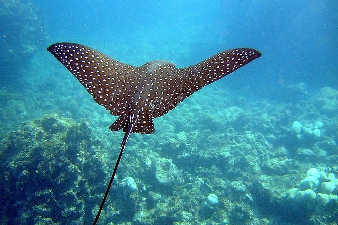 A BOAT TOUR to the TIJUCAS ISLANDS with an AMAZING UNDERWATER FLIGHT! FRESH AIR AND FREEDOM! - Duration and pacing: how to plan the rest of your day