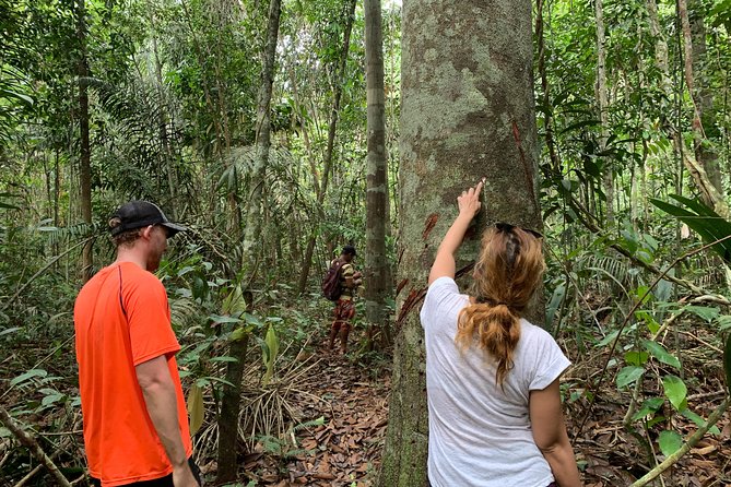 A Whole Day in the Jungle - Key highlights in plain words