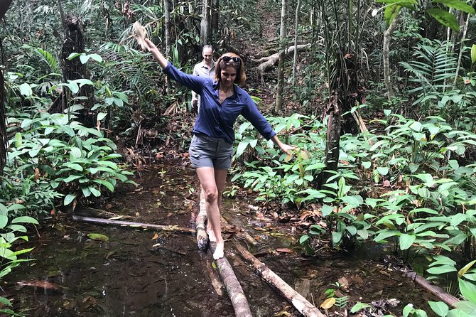 A Whole Day in the Jungle - Stop 1 Jungle Hike at Castanho: Dense Forest, Survival Talk, and Bug-Proof Planning