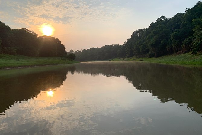 A Whole Day in the Jungle - Stop 5 Sunset and Night Hunting for Nocturnal Creatures