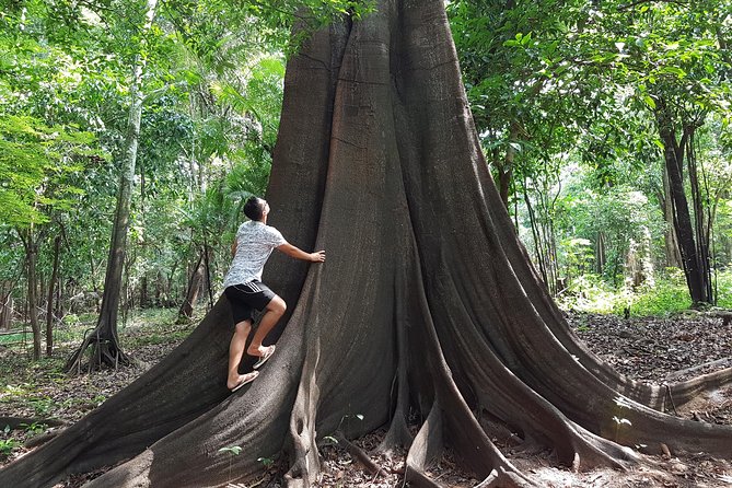 Adventure: 4-hour hike in the Amazon rainforest - The Morning Schedule, From Hotel Pickup to Canoe Ride