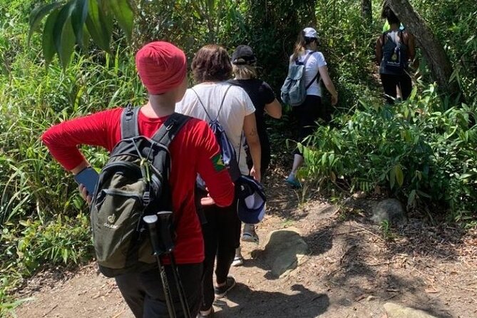 Adventure experience at Peak Sugar Bread by PARATY TOURS - Peak Sugar Bread from Paraty: a half-day that feels like two trips in one