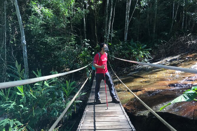Adventure & History at Tijuca Forest (small group or private) - Tijuca Forest National Park: Rio’s rainforest escape in one morning
