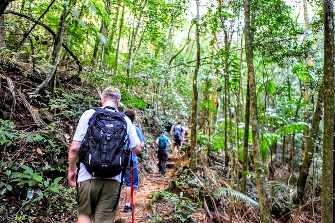 Adventure & History at Tijuca Forest (small group or private) - The 8:00 am start and max 6 people: how the day stays smooth