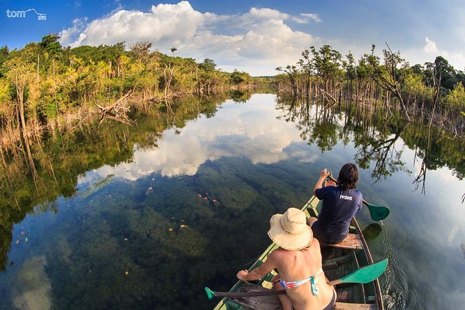 Alter do Chão FLONA Jamaraquá Tour - Key things to know before you go