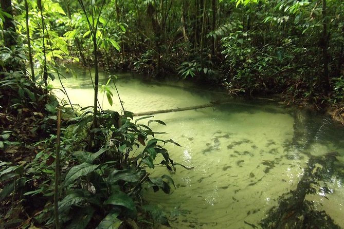 Alter do Chão FLONA Jamaraquá Tour - Your “morning stops” are built for photos, swims, and pacing