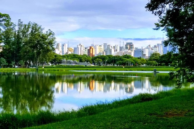 Amazing São Paulo overview in 4 or 5 hours with a private guide - A 4 to 5 hour plan that helps you get your bearings fast