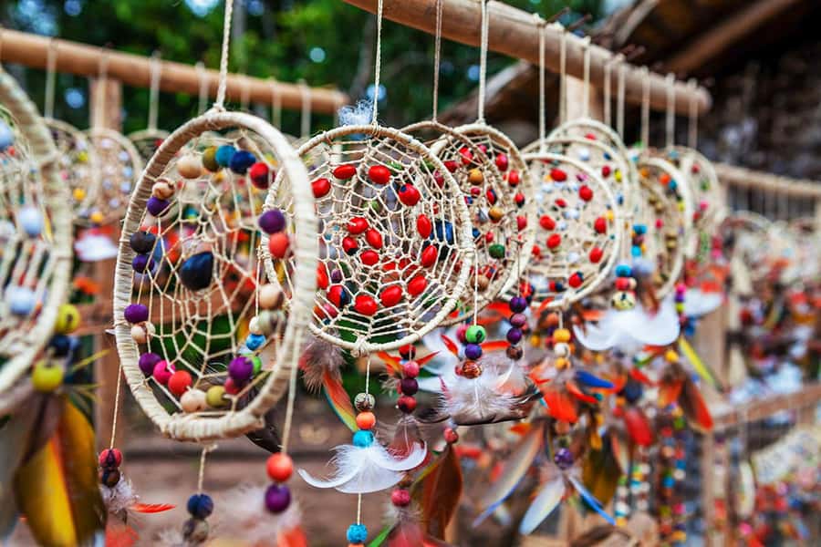 Amazon Experience: Indigenous culture and nature phenomenon - Why this Manaus day trip feels different than a typical Amazon tour