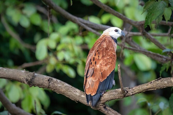 Amazon Explore 4D/3N-At Amazon Tapiri Floating Lodge - Key highlights you should care about