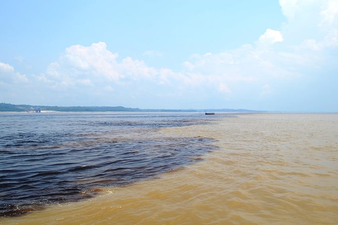 Amazon Negro River Half-Day Expedition Tour - Dolphins, safety, and animal ethics: what I’d check before committing