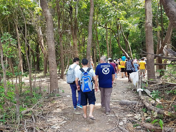 Amazon Negro River Half-Day Expedition Tour - Parque Ecologico Janauari: the forest walk and what dry season changes
