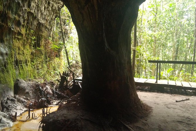 Amazon Rainforest Tour, Trails, Jungle, Caves and Waterfalls - Price and what $200 really buys you in the jungle