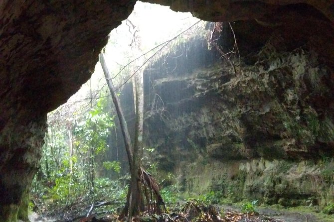 Amazon Rainforest Tour, Trails, Jungle, Caves and Waterfalls - A private Amazon circuit, run at your pace