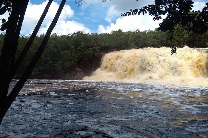 Amazon Rainforest Tour, Trails, Jungle, Caves and Waterfalls - Stop 1: Cachoeira de Iracema, jungle air and a waterfall shower