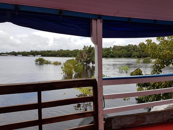 Amazon River Boat Adventure from Manaus - Day 2: Rubber tree history, optional ritual dancing, and camp in the jungle