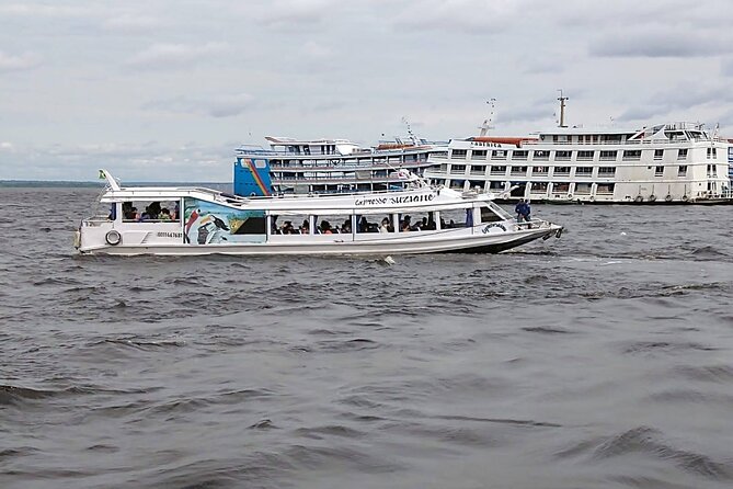 Amazon Safari from Manaus - Stop 1: The Meeting of Waters, Rio Negro and Rio Solimões