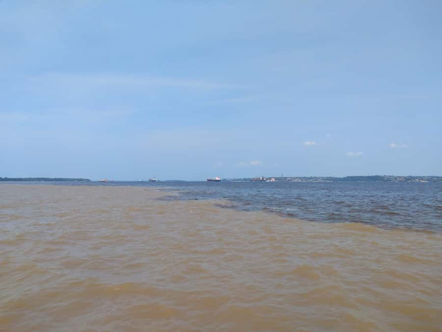Amazon Safari® Manaus: Day trip on the Amazon River - What You’ll Remember Most (Key Points)