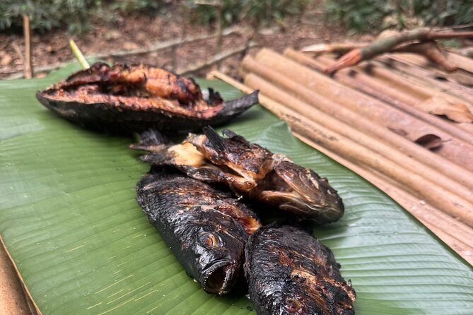 Amazon Survival Experience - Day 3 Dolphin Calls, Caimans, and Night Fishing With Spear