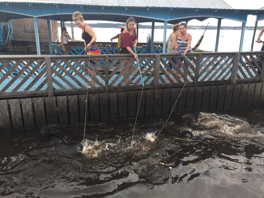 Amazonas: Boat Ride with a Local Amazonian - Giant water lilies, then floating homes built to last