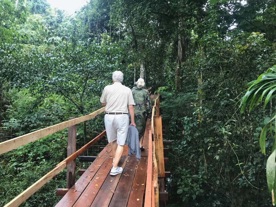 Amazonas: Boat Ride with a Local Amazonian - Pirarucu fish farm: meet the giant river monster, hook-free