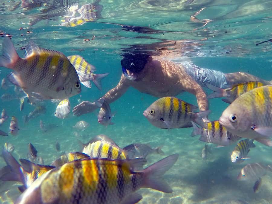 Angra dos Reis and Ilha Grande: Small-Group Fast-Boat Tour - Transfers, guides, and the value of the small-group experience