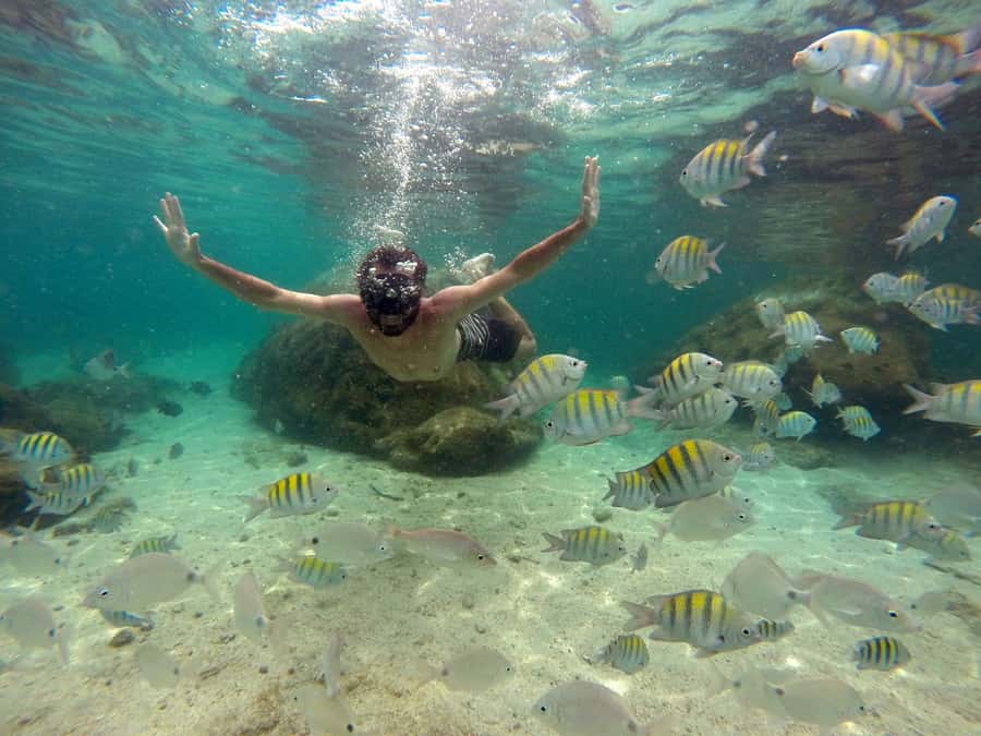 Angra dos Reis and Ilha Grande: Small-Group Fast-Boat Tour - Japariz beach and Saco do Céu: sun time and a calmer vibe