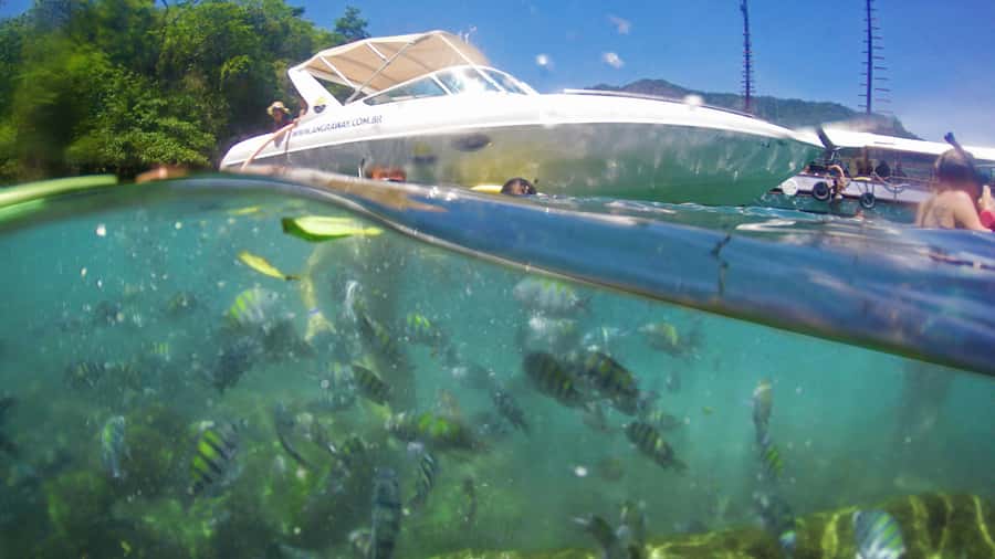 Angra dos Reis: Super Lagoa Azul Speedboat Tour - Araçá Beach: quieter, rockier, and more nature-focused