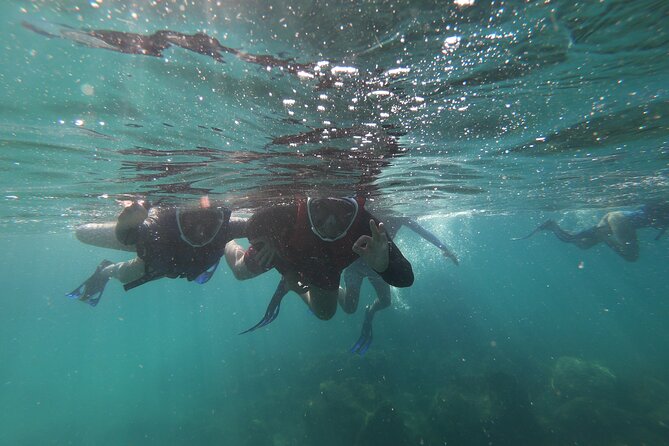 Aqua Aventura - diving for families - Price and value: what $43.16 buys you