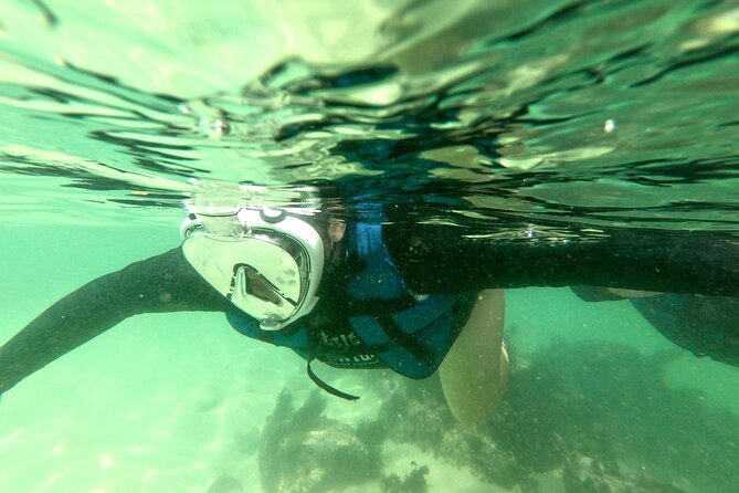 Aqua Aventura - diving for families - Should you book Aqua Aventura?