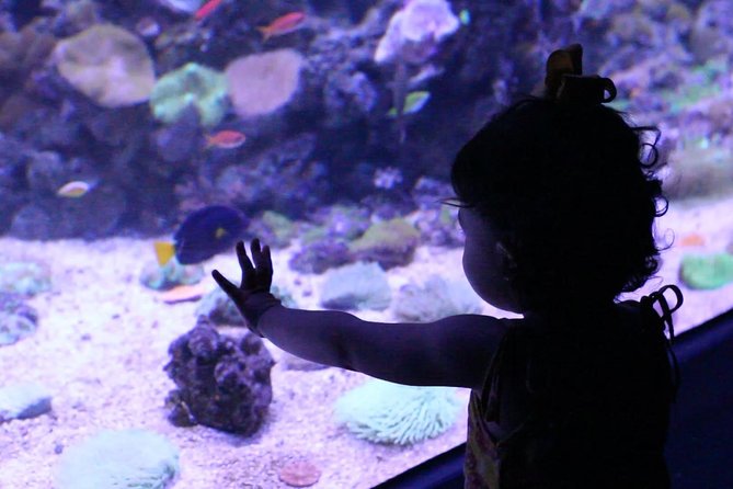 AquaRio Small Group Guided Tour with entrance and transfer - Hotel Pickup and Small-Group Logistics That Actually Help