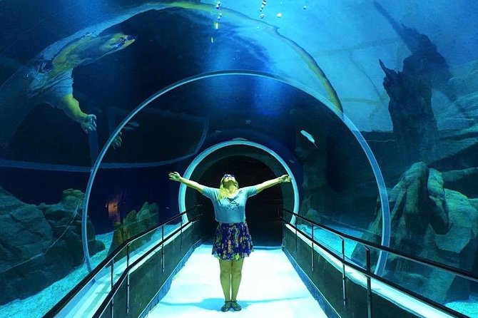 AquaRio Small Group Guided Tour with entrance and transfer - Under-the-Tank Tunnel Views, Animal Focus, and What to Watch for