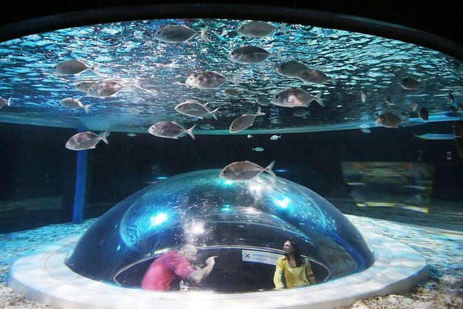 AquaRio Small Group Guided Tour with entrance and transfer - AquaRio Entry, What Your Guide Adds, and How Pacing Works
