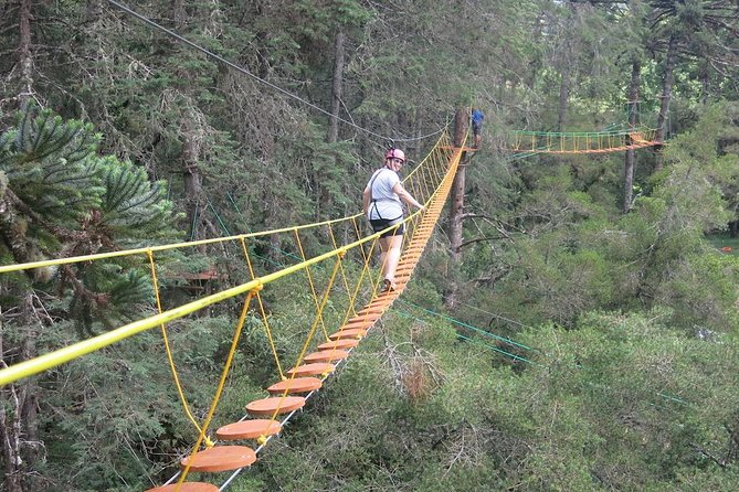 Arborismo in Horto Florestal - Campos Do Jordão - Key Points Before You Go