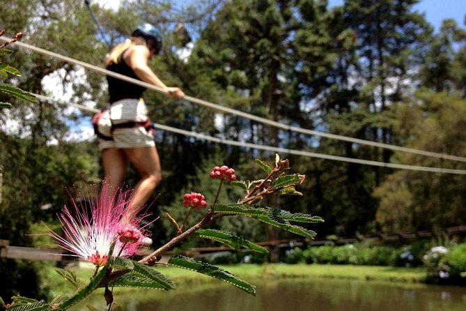 Arborismo in Horto Florestal - Campos Do Jordão - What You Do During the 30 Minutes (So It Fits Your Day)