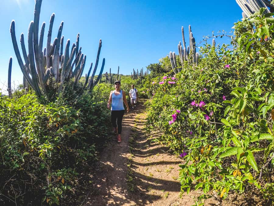 Armação dos Búzios: Walk Through the Natural Pools in Búzios - Should you book the Walk Through the Natural Pools in Búzios?