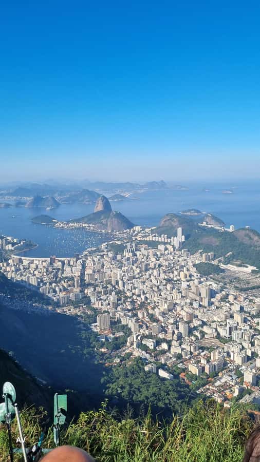 AVenturismo Christ Redeemer - Tijuca National Park hiking: shade, wildlife time, and a steady pace
