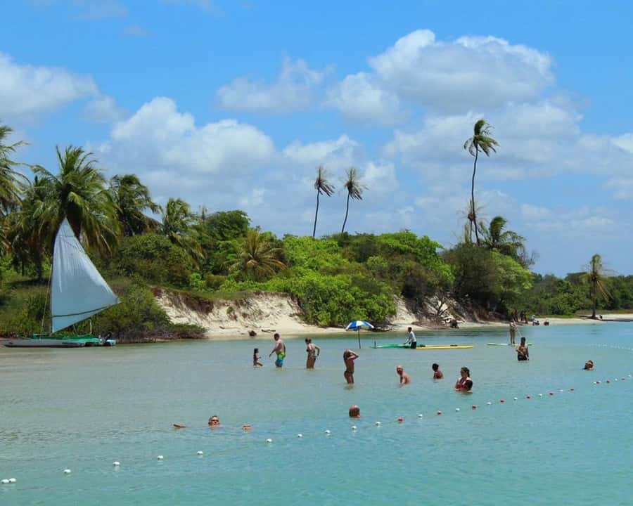 Barra do Cunhaú Full-Day Trip from Natal - Key things to look forward to