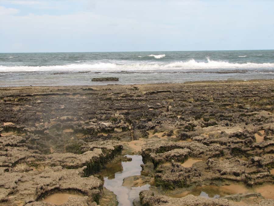 Barra do Cunhaú Full-Day Trip from Natal - River shrimp farms to the next shore: what the itinerary teaches you
