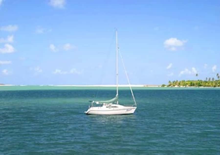 Barra do Cunhaú Full-Day Trip from Natal - Curimataú River catamaran: mangroves up close and crab fishing on the spot