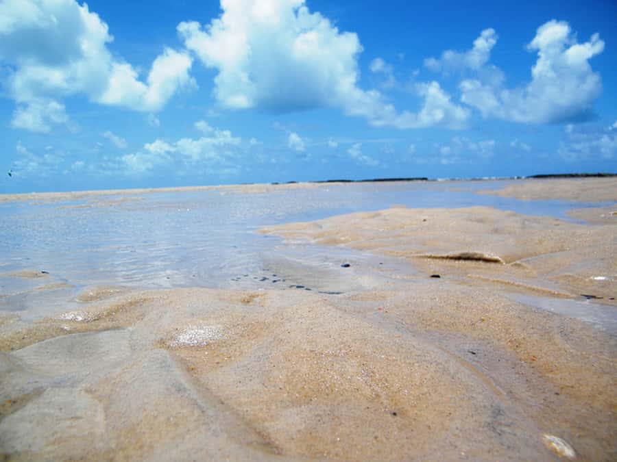 Barra do Cunhaú Full-Day Trip from Natal - Beach stops on the other bank, then lunch time you control