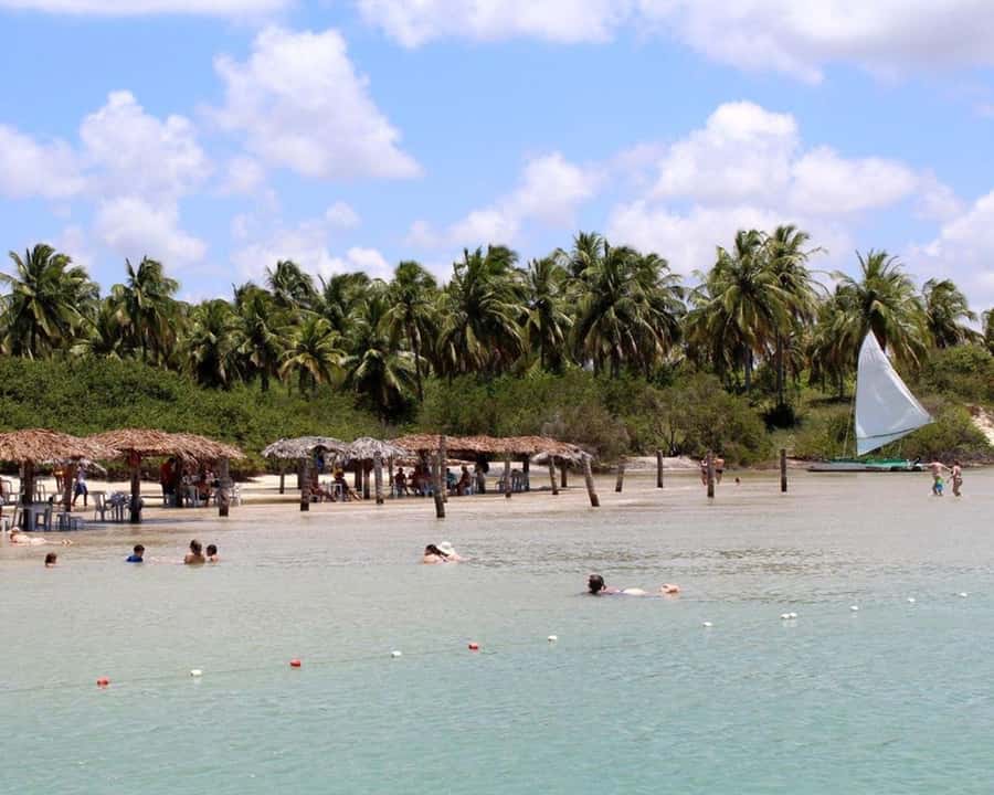 Barra do Cunhaú Full-Day Trip from Natal - Price and value: what $72 covers for a long coastal day